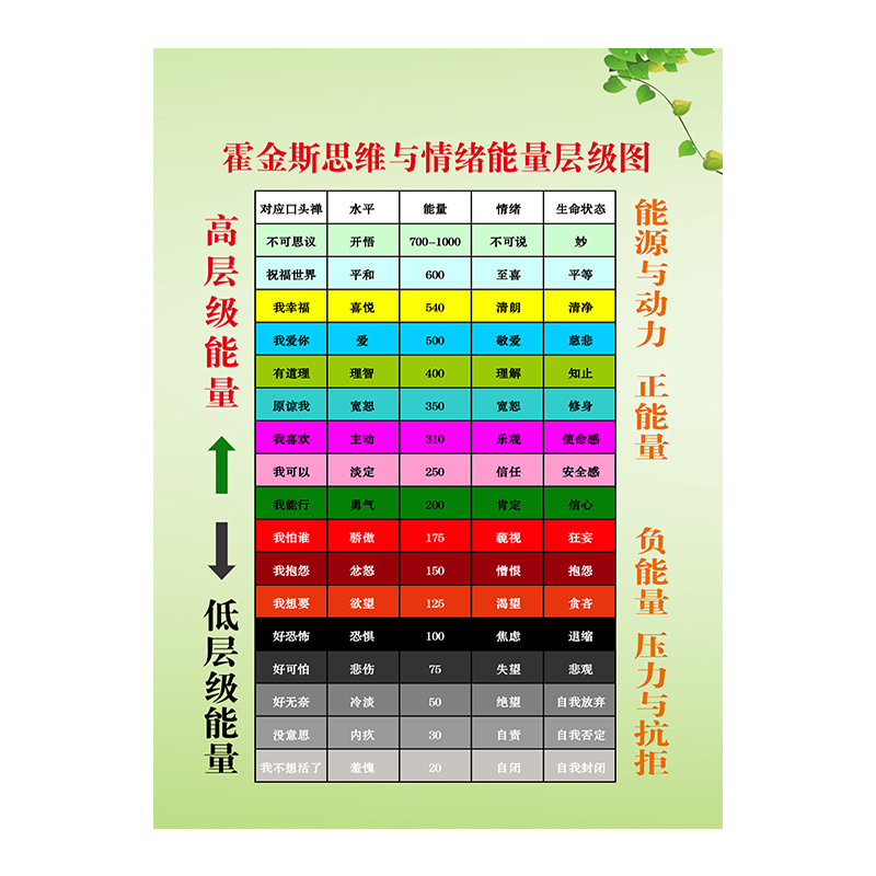 相紙和pp膠對比