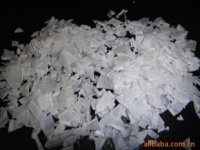 本色pp吸塑供應(yīng)廠家
