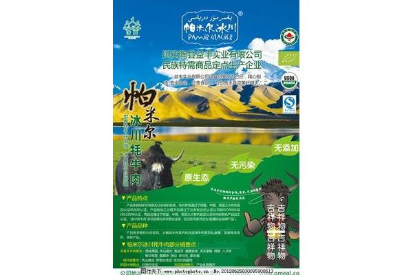 牦牛廣告設(shè)計(jì)