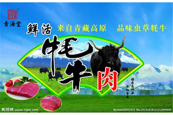牦牛廣告設(shè)計(jì)