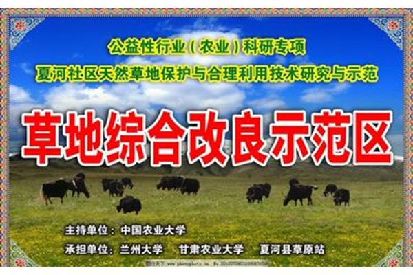 牦牛廣告設(shè)計(jì)