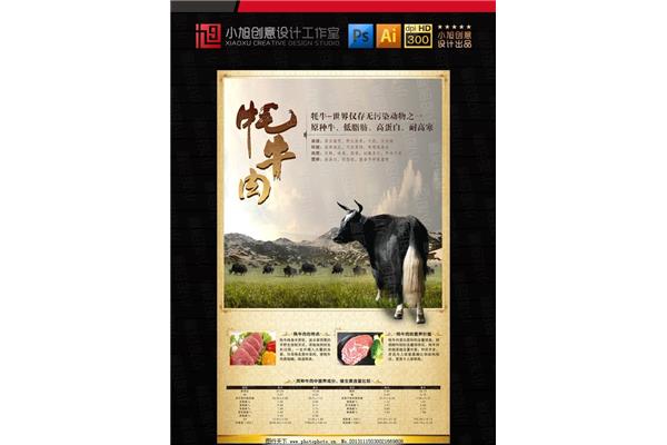 牦牛廣告設(shè)計(jì)