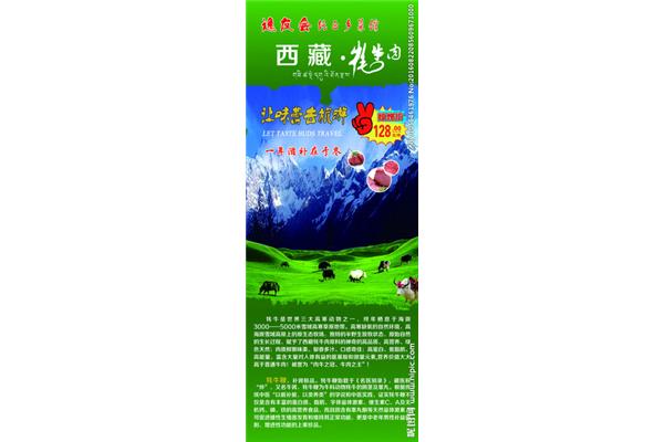 牦牛廣告設(shè)計(jì)