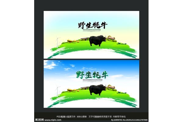 牦牛廣告設(shè)計(jì)